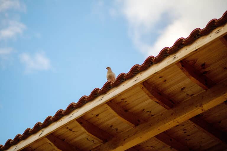 FAQ Couvreur à Lens