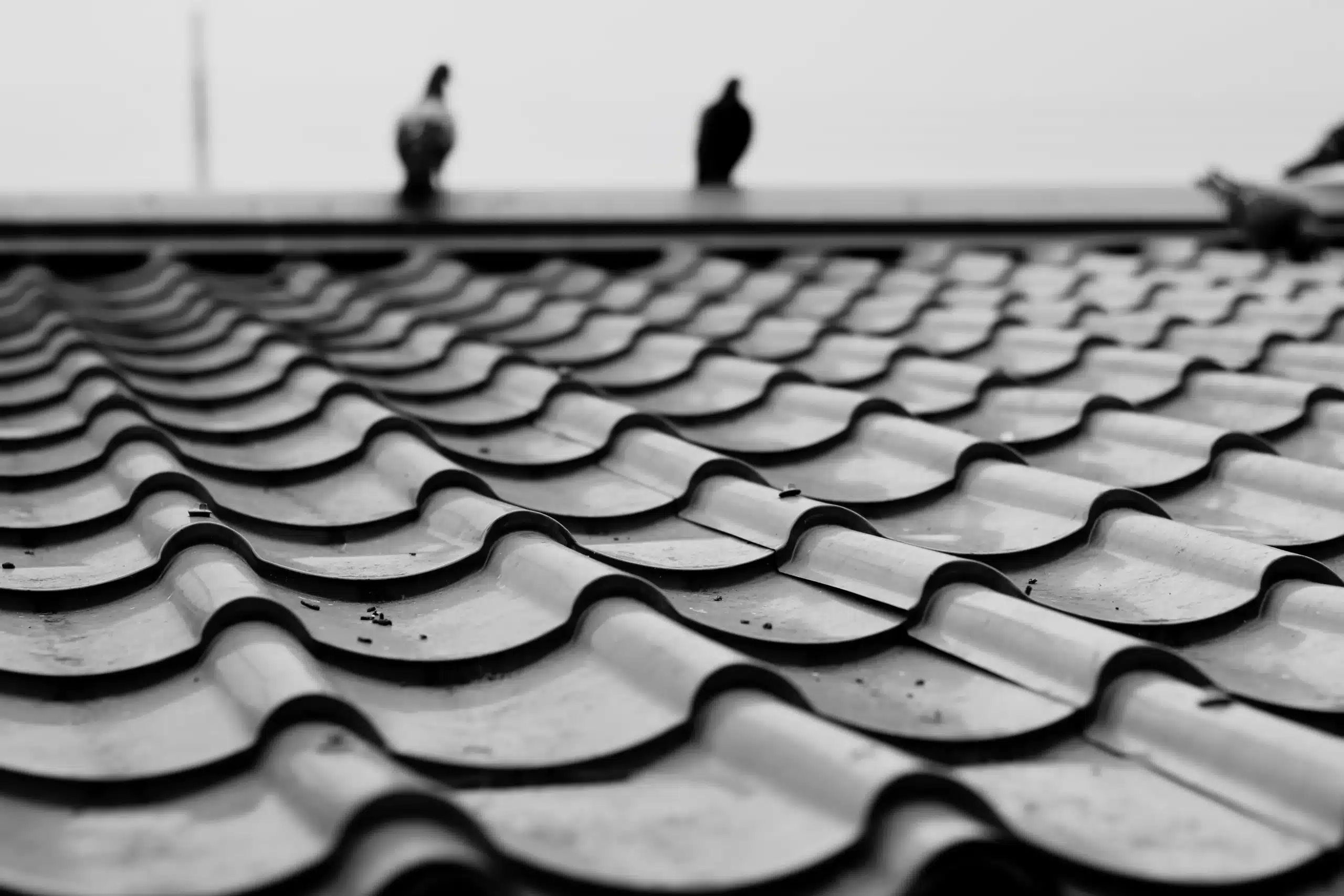 Couvreur à Loos-en-Gohelle : entretien toiture et évacuation des eaux